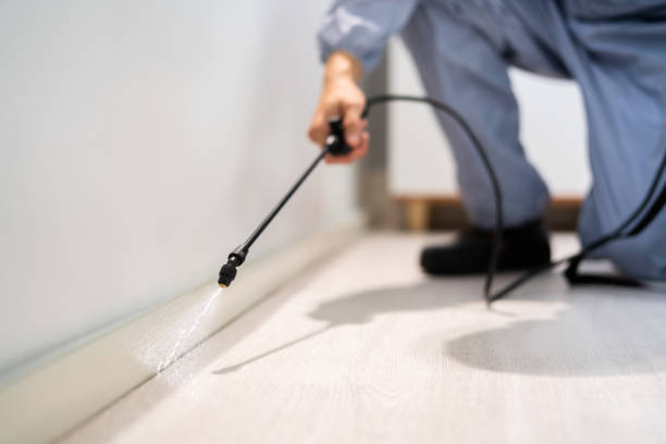 Certified termite inspector examining foundation in Darlington